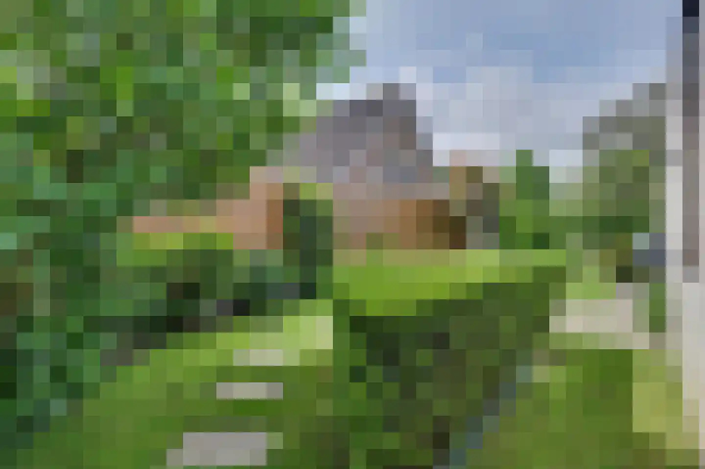 Thorbecke singel 20 Raamsdonksveer thumbnail 53