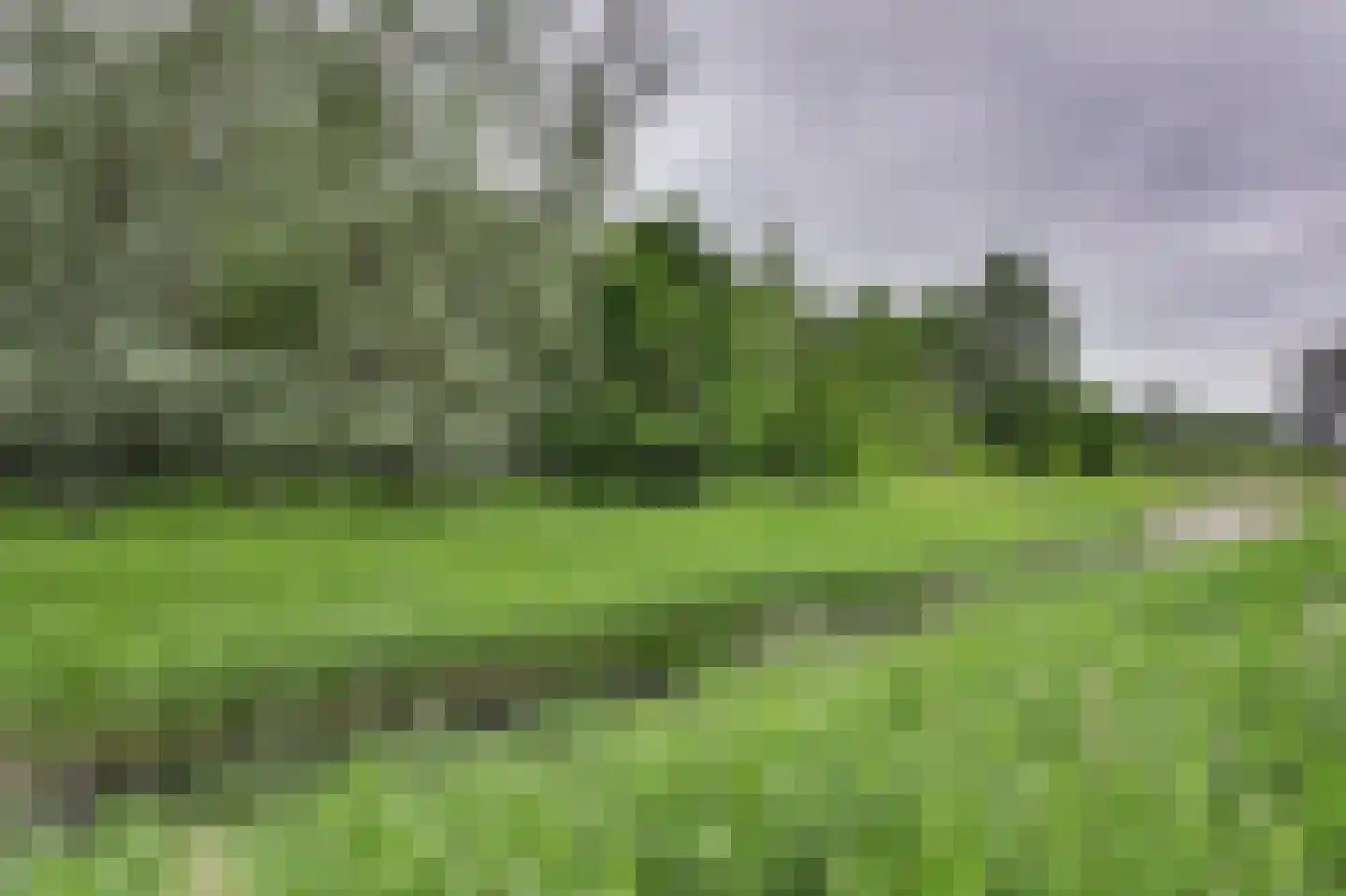 Thorbecke singel 20 Raamsdonksveer thumbnail 58