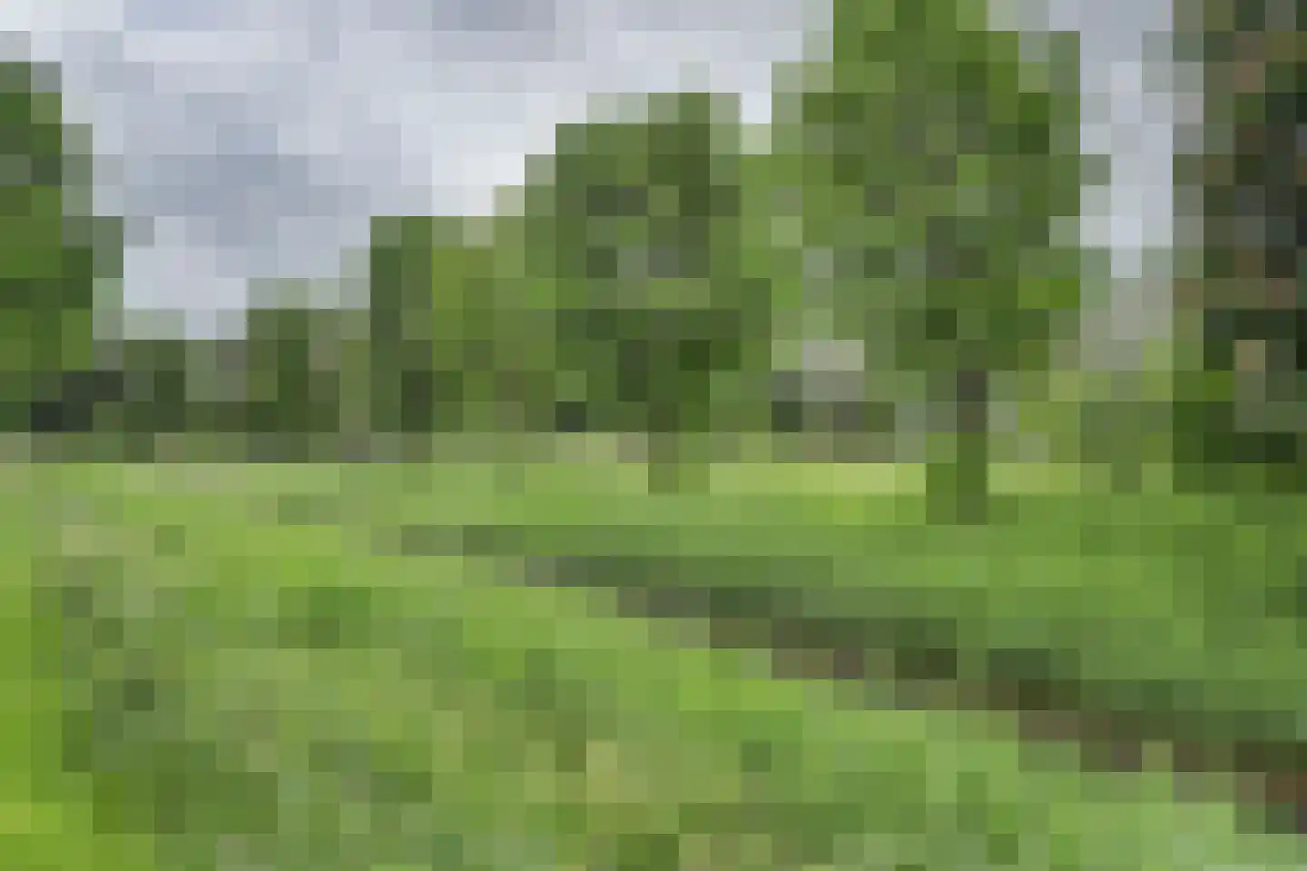 Thorbecke singel 20 Raamsdonksveer thumbnail 59