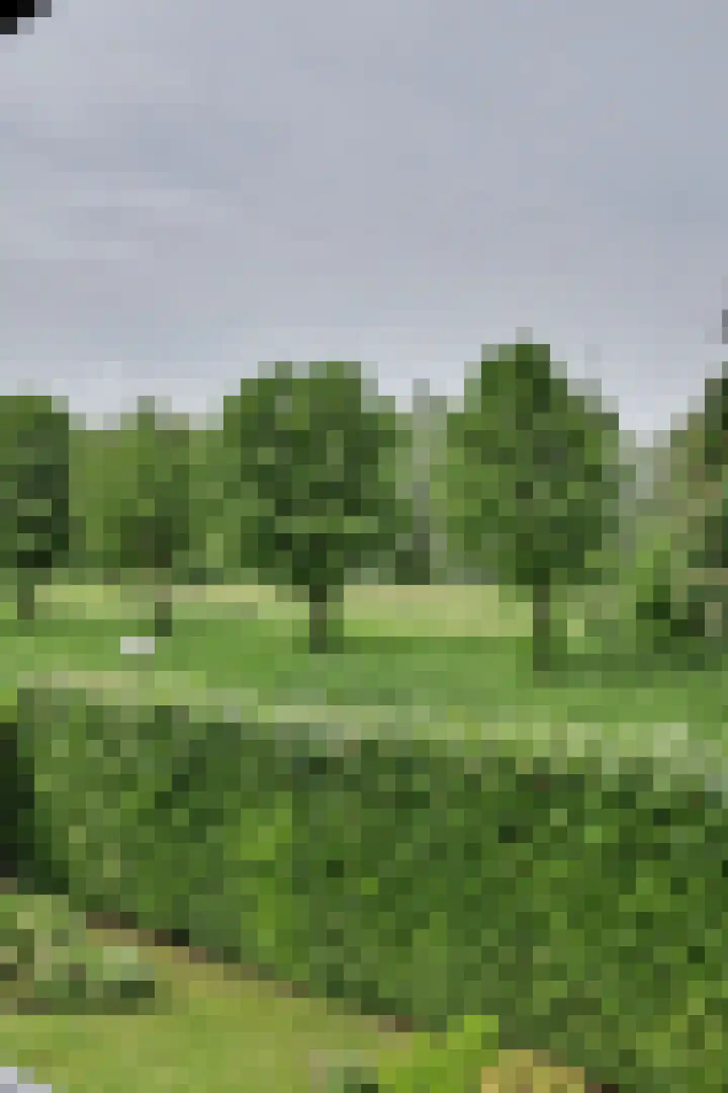 Thorbecke singel 20 Raamsdonksveer thumbnail 60