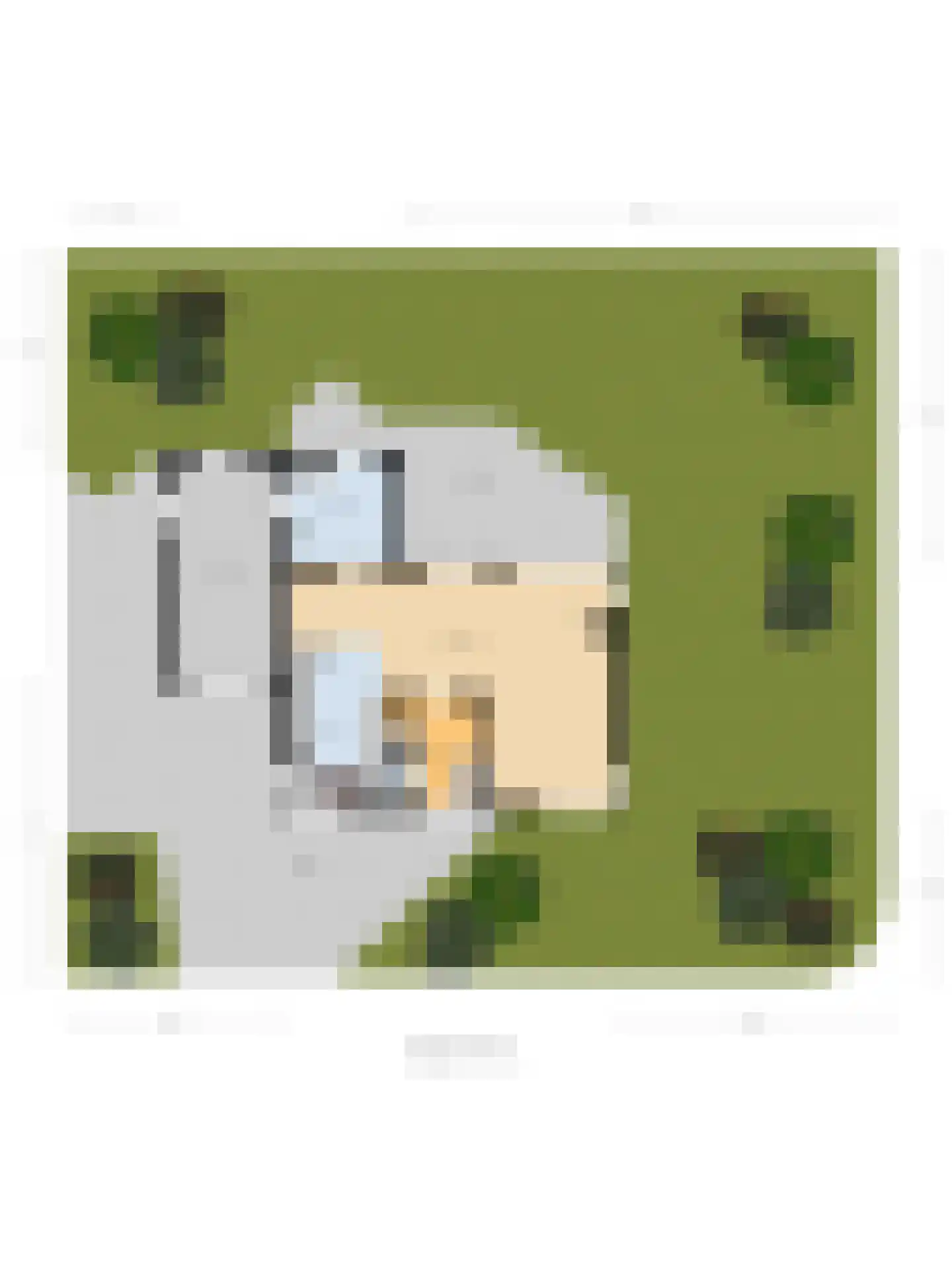 Thorbecke singel 20 Raamsdonksveer thumbnail 64