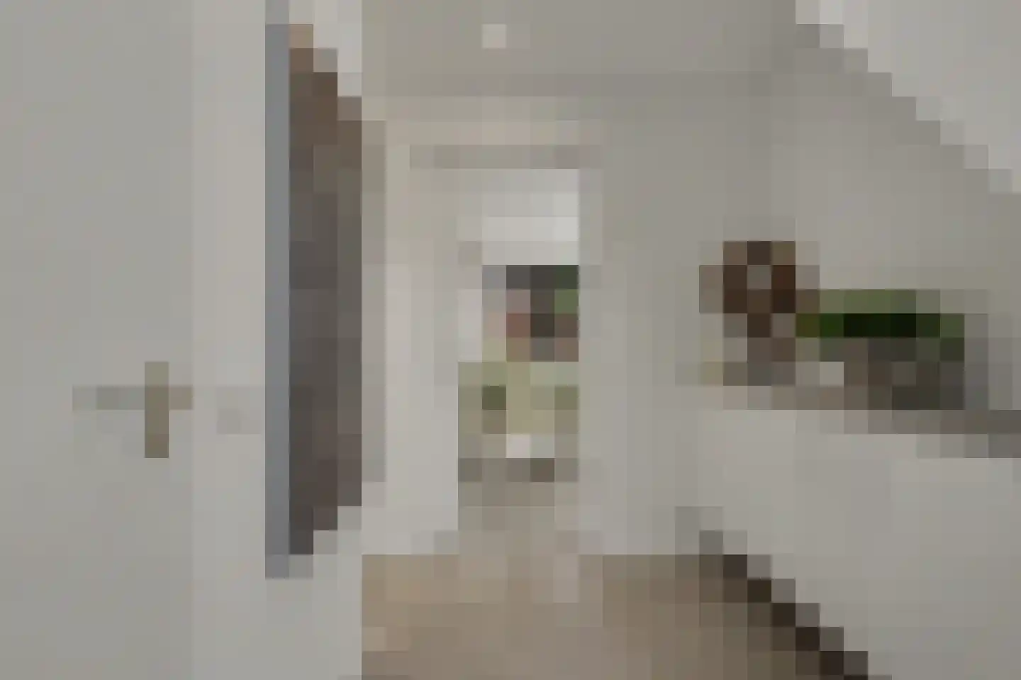 Thorbecke singel 20 Raamsdonksveer thumbnail 8