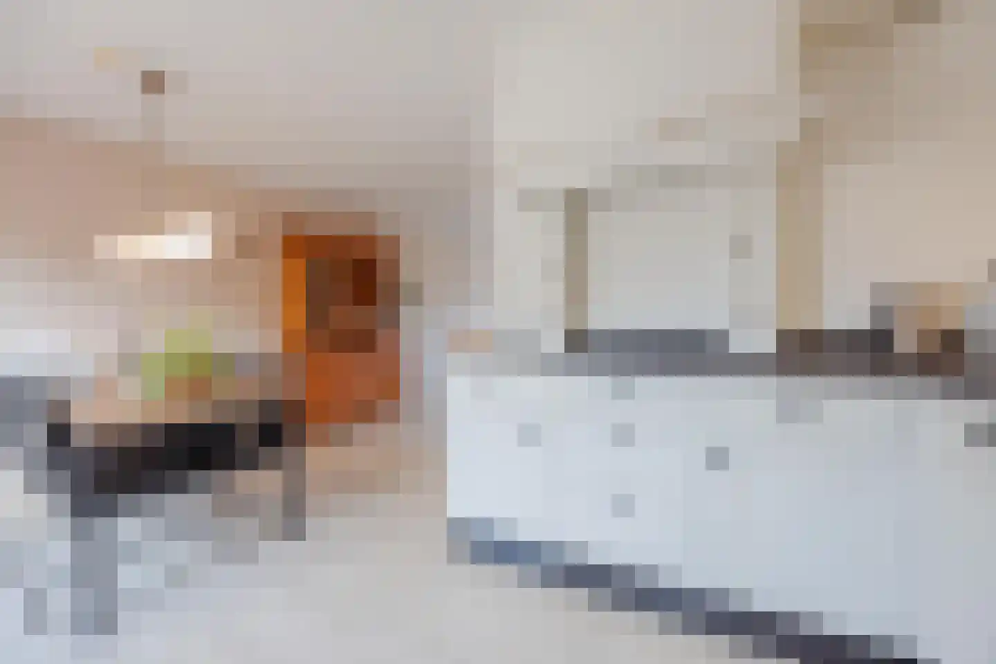 Thorbecke singel 9 Raamsdonksveer thumbnail 16