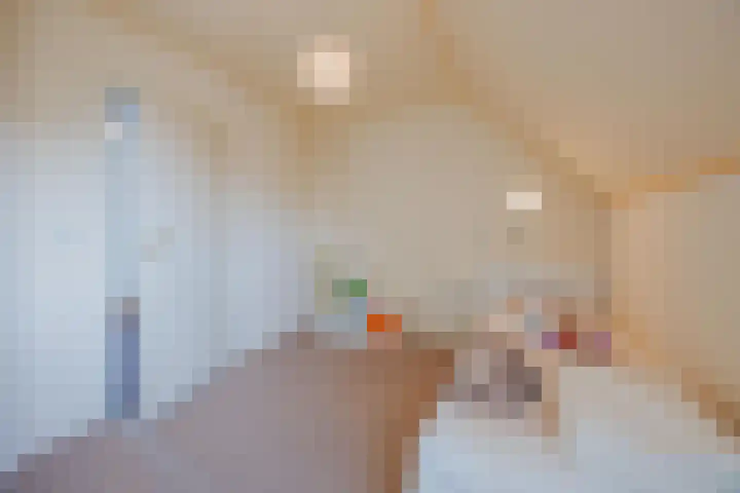 Thorbecke singel 9 Raamsdonksveer thumbnail 23