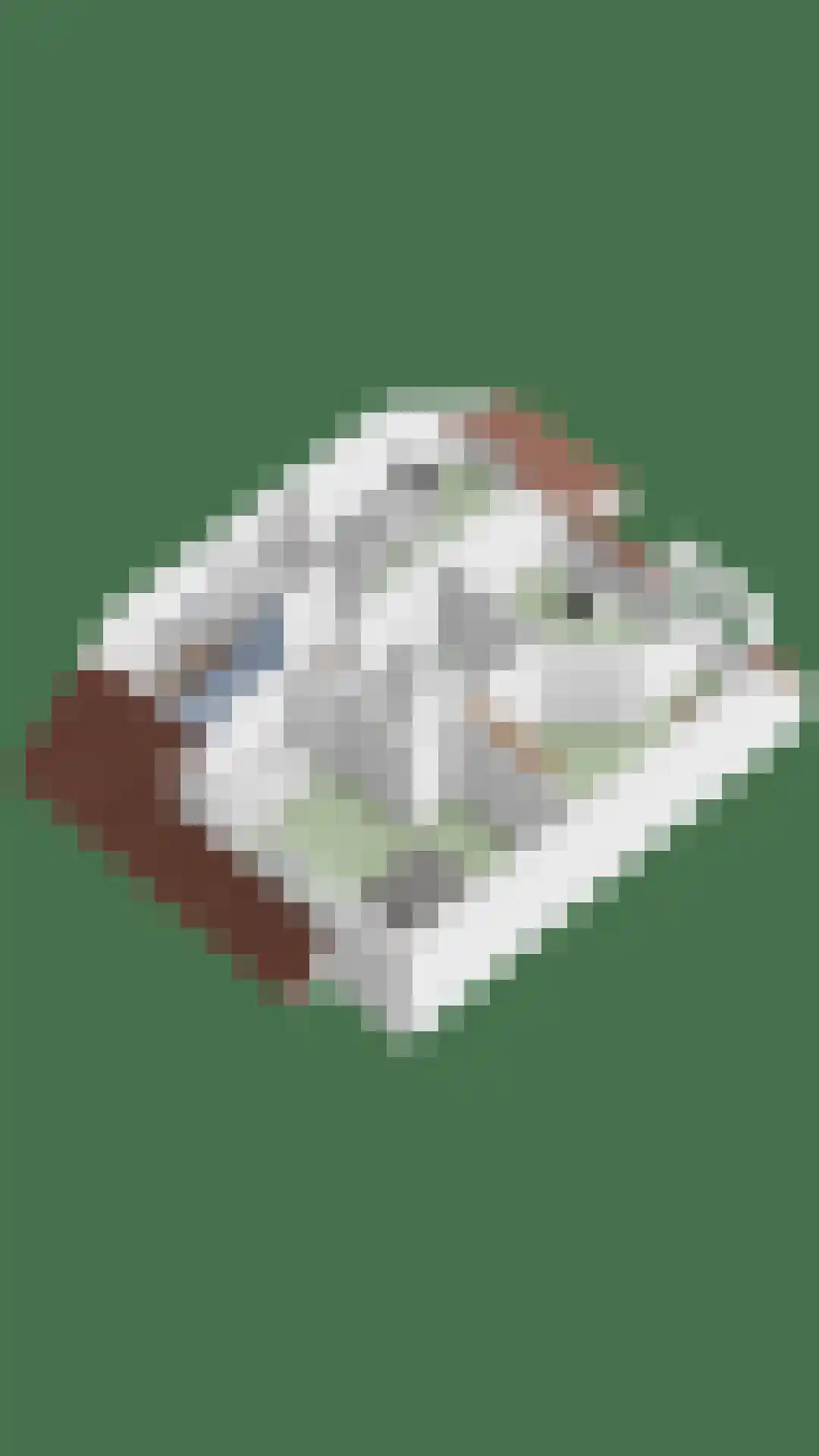 Thorbecke singel 9 Raamsdonksveer thumbnail 47