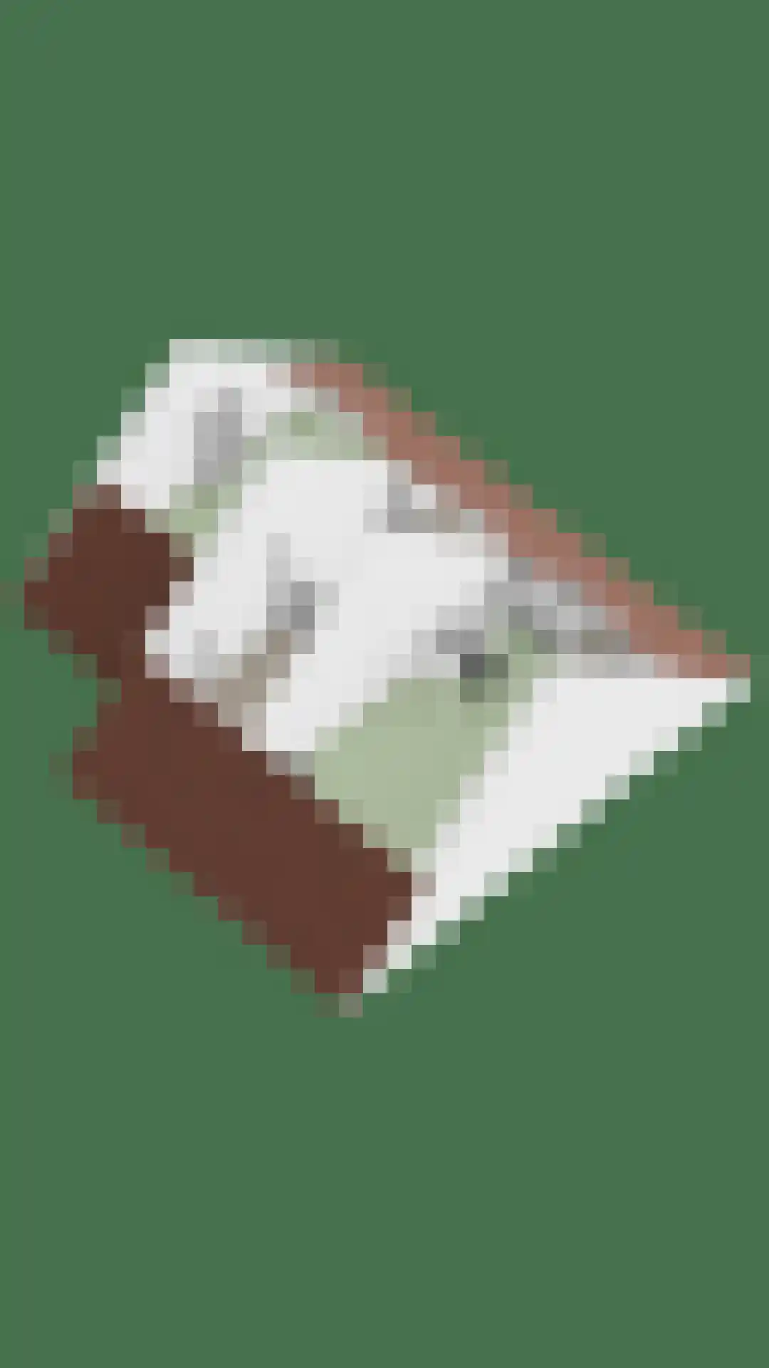 Thorbecke singel 9 Raamsdonksveer thumbnail 48
