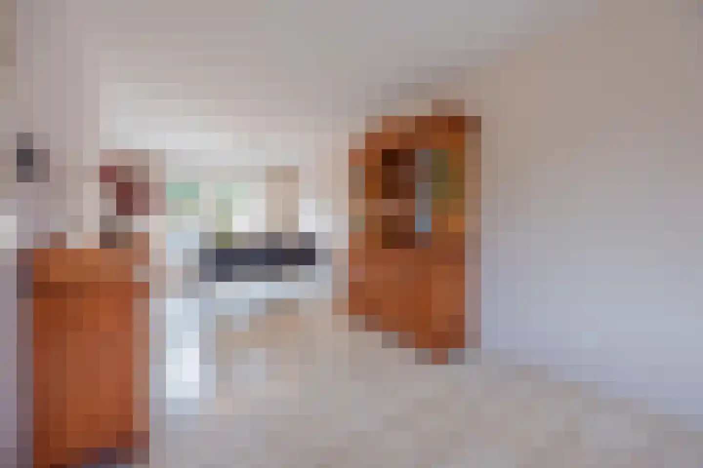 Thorbecke singel 9 Raamsdonksveer thumbnail 8