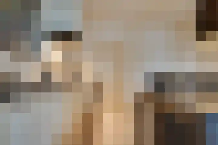 Thorbeckeborch 34 Rosmalen thumbnail 11