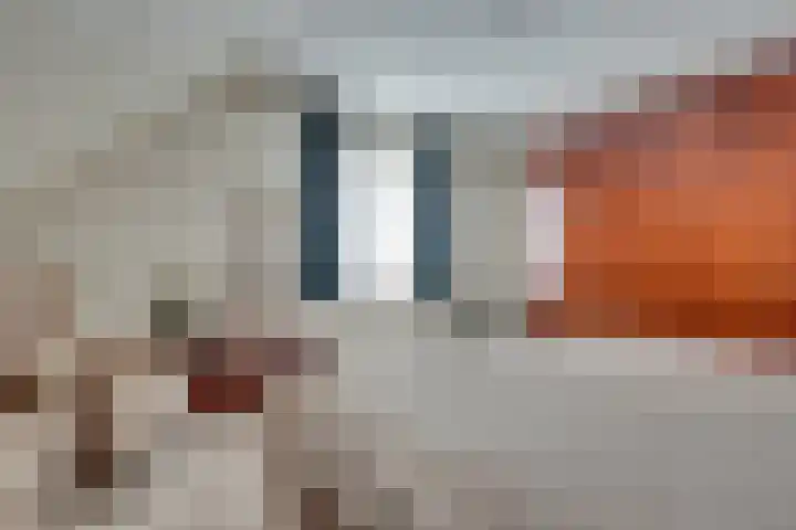 Thorbeckeborch 34 Rosmalen thumbnail 15