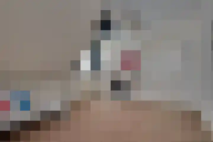 Thorbeckeborch 34 Rosmalen thumbnail 17