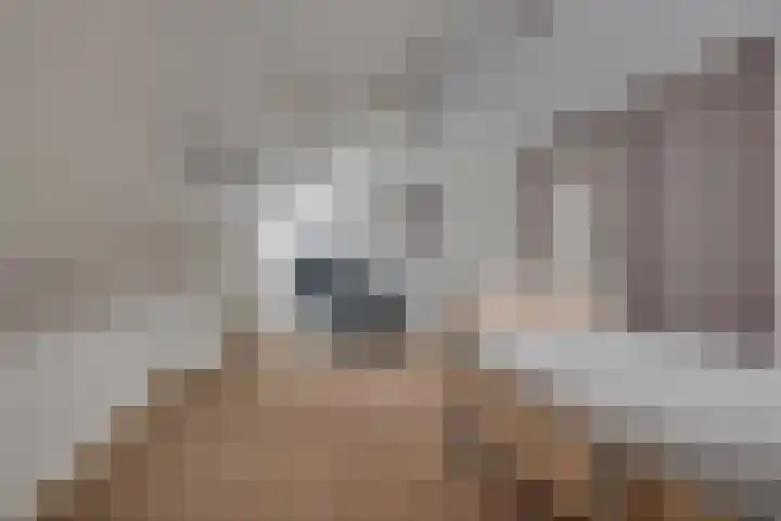 Thorbeckeborch 34 Rosmalen thumbnail 19