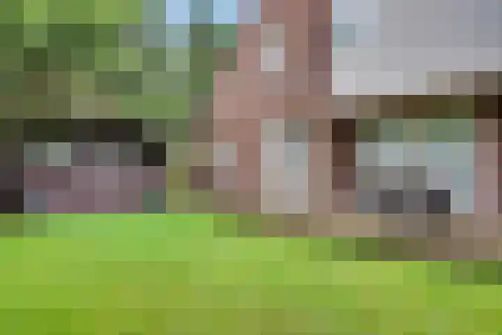 Thorbeckeborch 34 Rosmalen thumbnail 25