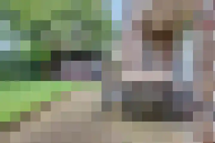 Thorbeckeborch 34 Rosmalen thumbnail 26
