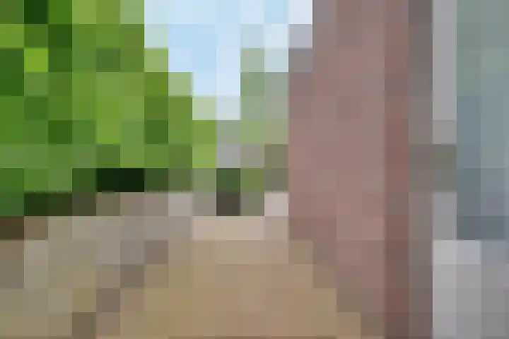 Thorbeckeborch 34 Rosmalen thumbnail 27