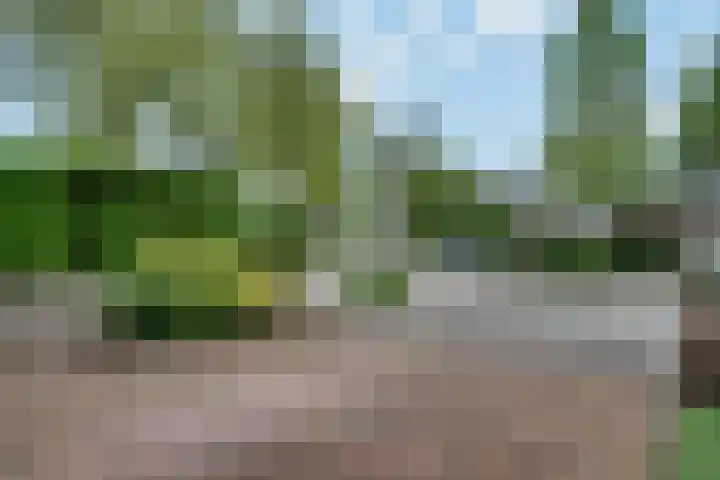 Thorbeckeborch 34 Rosmalen thumbnail 30