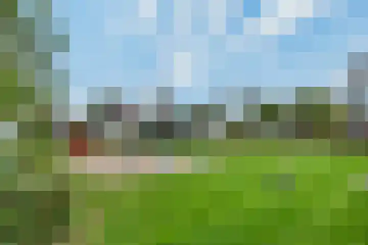 Thorbeckeborch 34 Rosmalen thumbnail 32