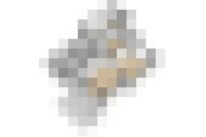 Thorbeckeborch 34 Rosmalen thumbnail 35