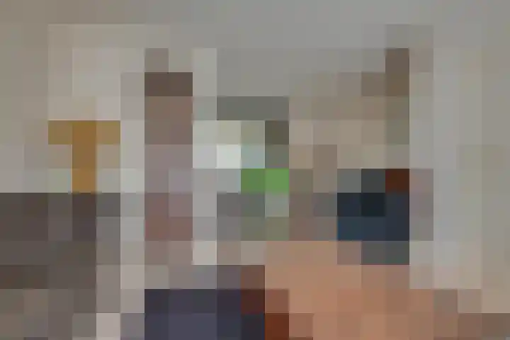 Thorbeckeborch 34 Rosmalen thumbnail 4