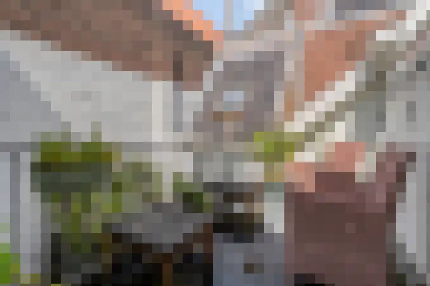Thorbeckegracht 12 Zwolle thumbnail 28