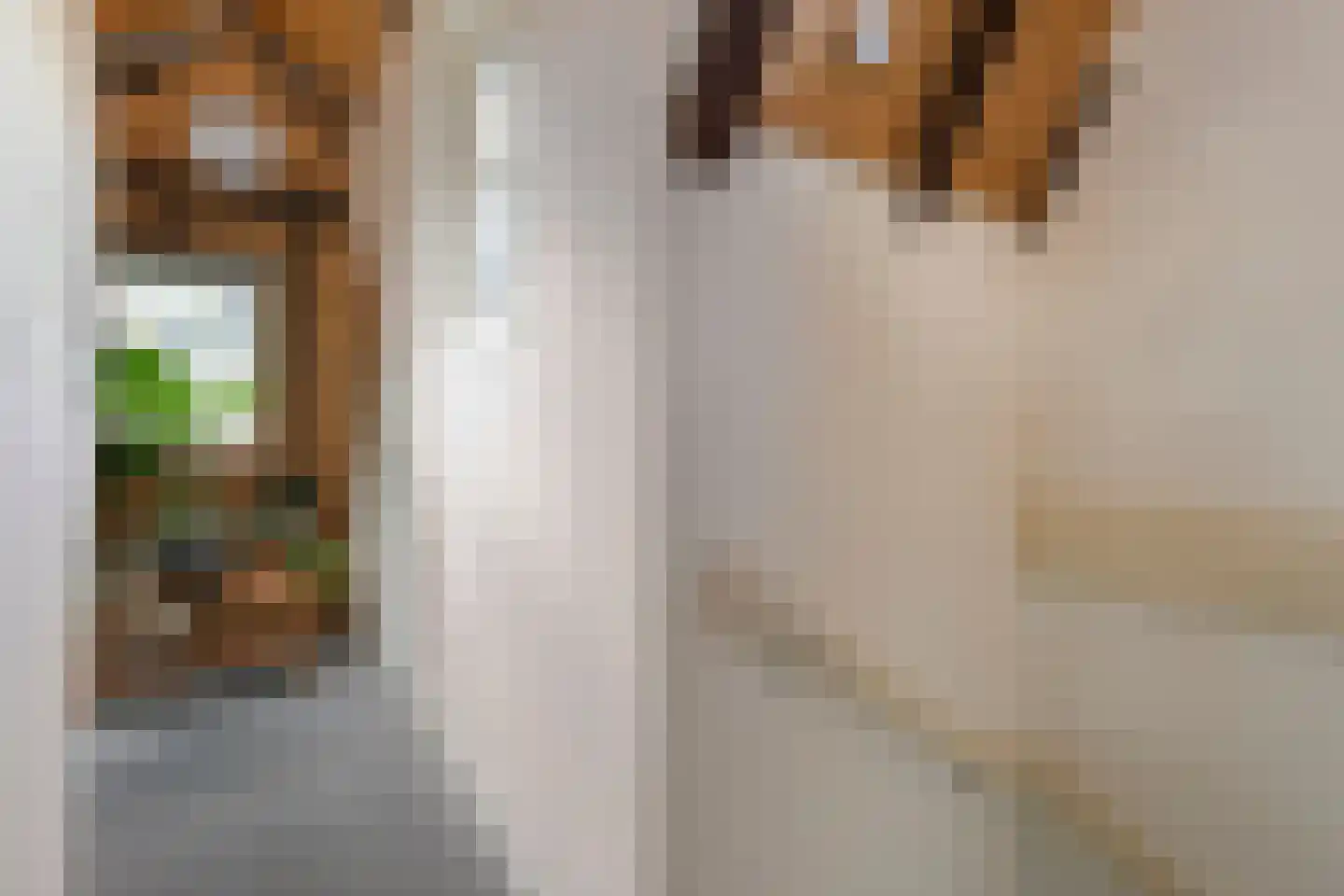 Thorbeckegracht 12 Zwolle thumbnail 33