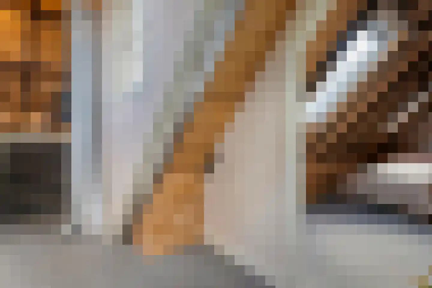 Thorbeckegracht 12 Zwolle thumbnail 34