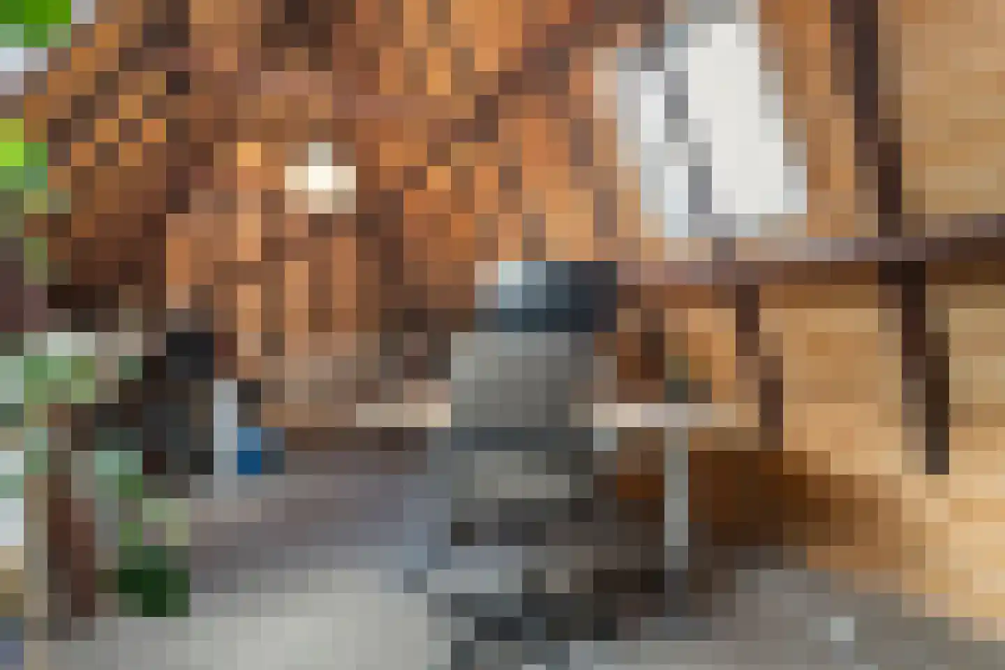 Thorbeckegracht 12 Zwolle thumbnail 36