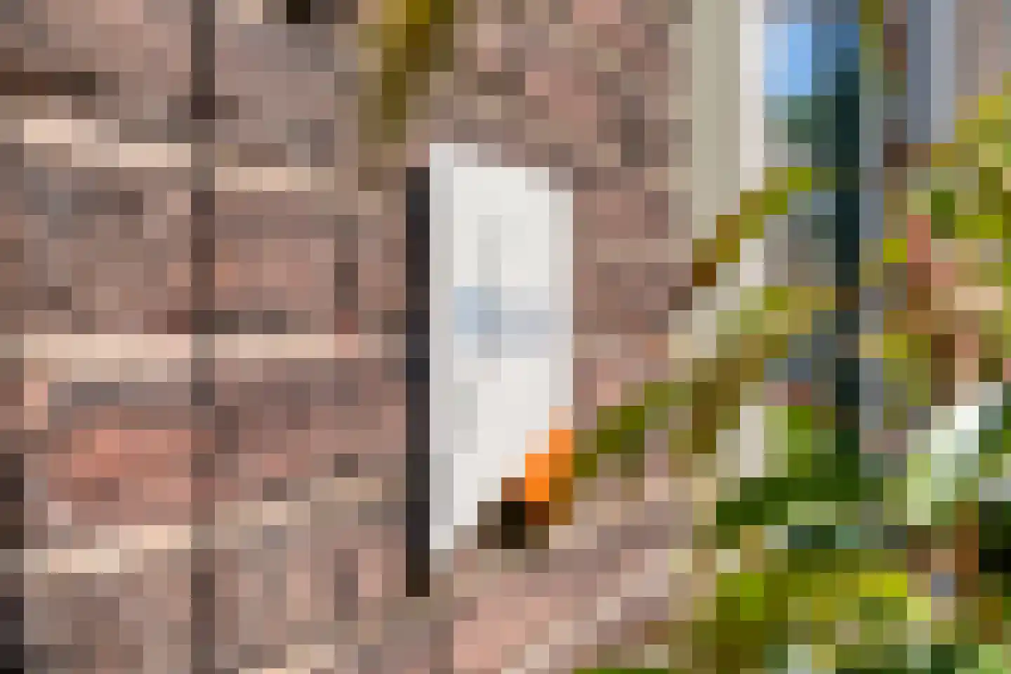 Thorbeckegracht 12 Zwolle thumbnail 44