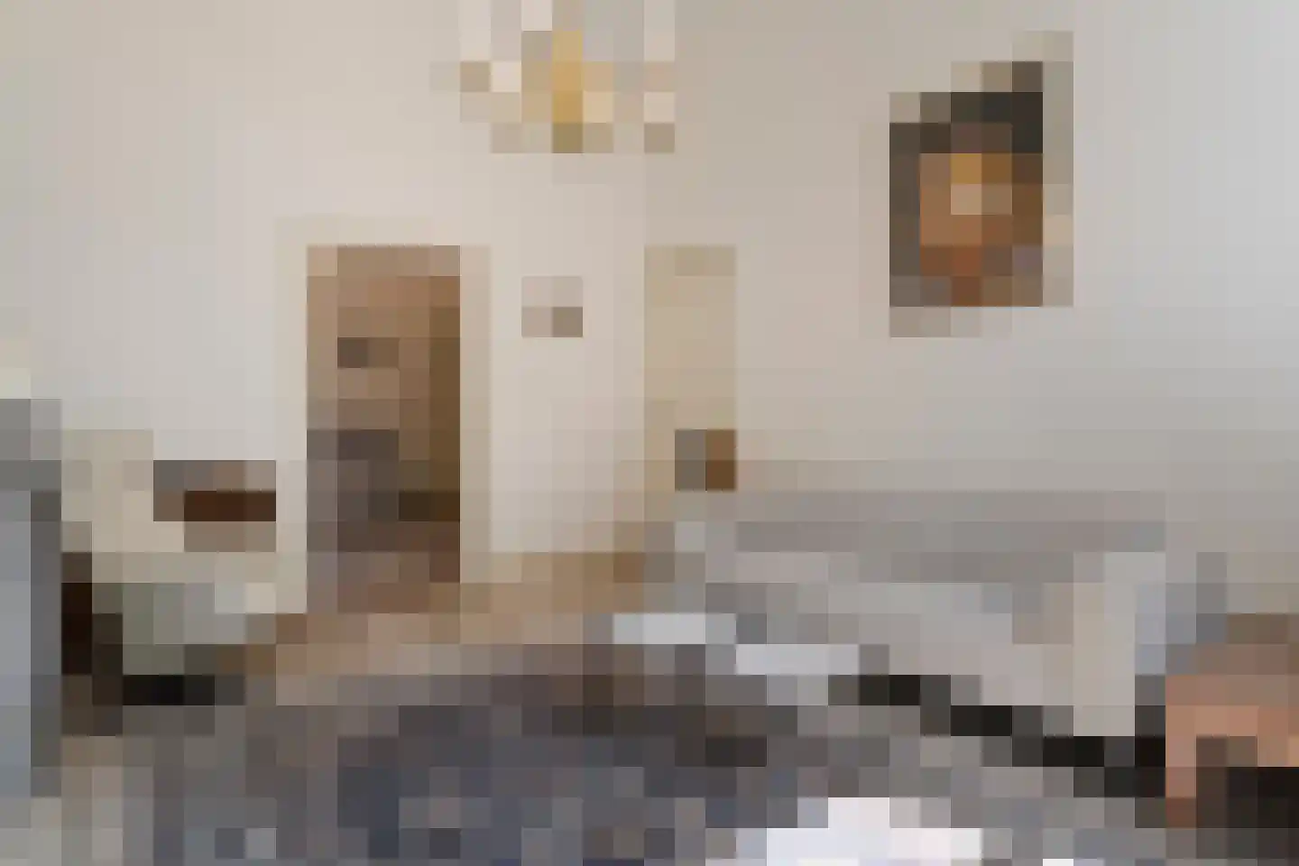 Thorbeckegracht 12 Zwolle thumbnail 5