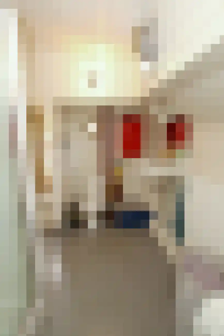 Thorbeckegracht 127 Zwolle thumbnail 12