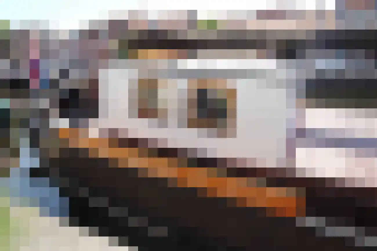 Thorbeckegracht 127 Zwolle thumbnail 26