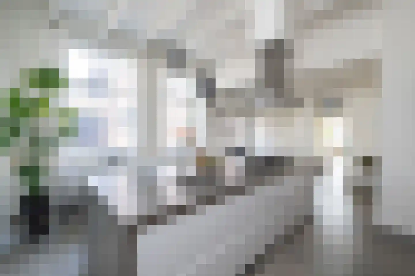 Thorbeckegracht 22 Zwolle thumbnail 16