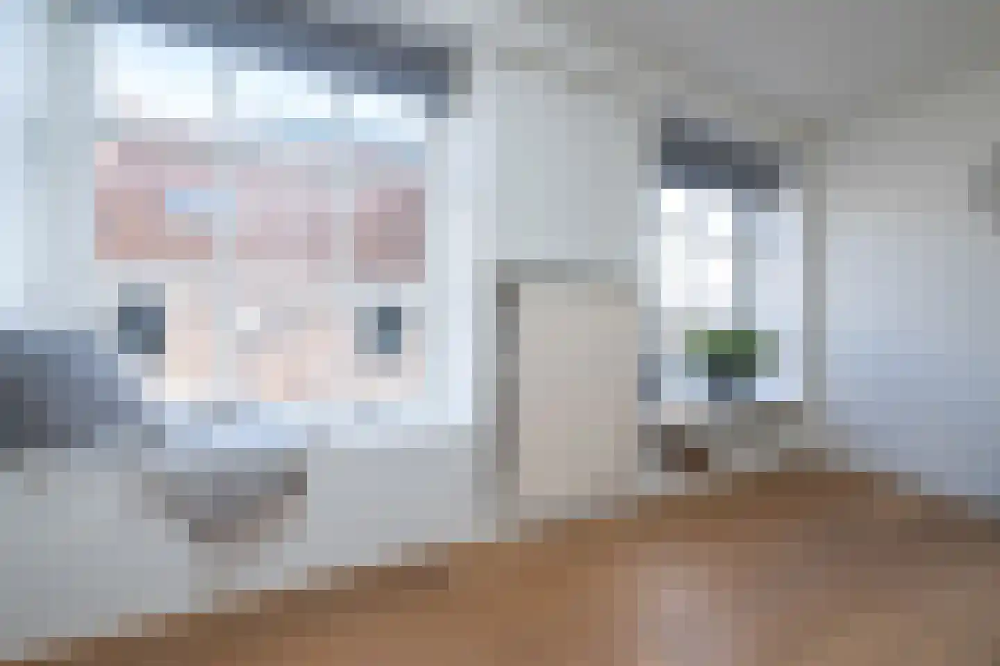 Thorbeckegracht 22 Zwolle thumbnail 26