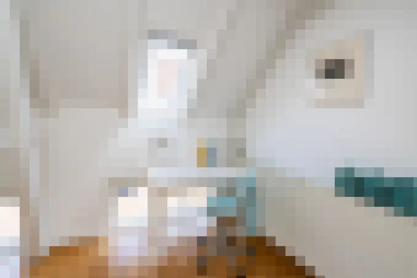 Thorbeckegracht 22 Zwolle thumbnail 31