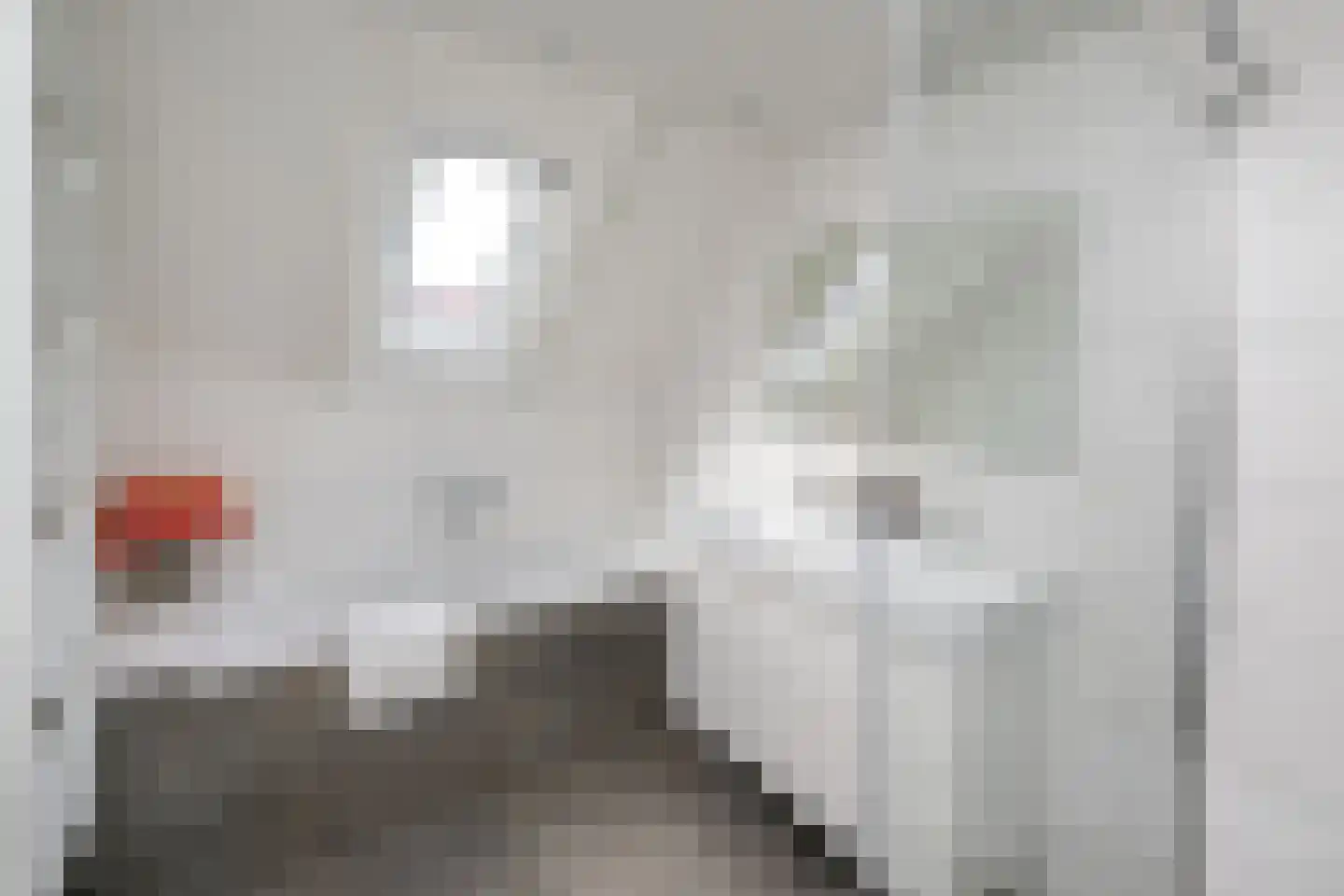Thorbeckegracht 22 Zwolle thumbnail 37