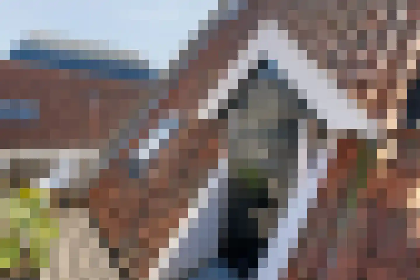 Thorbeckegracht 22 Zwolle thumbnail 43
