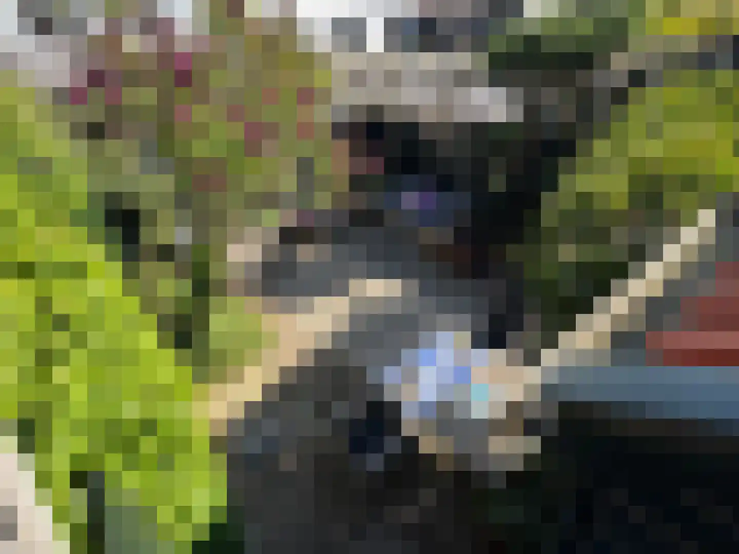 Thorbeckegracht 34 Zwolle thumbnail 19