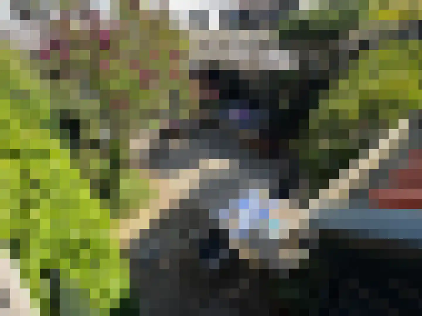 Thorbeckegracht 34 Zwolle thumbnail 20