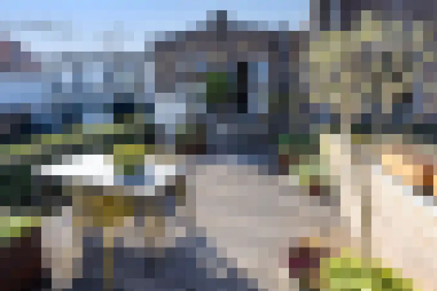 Thorbeckegracht 34 Zwolle thumbnail 21