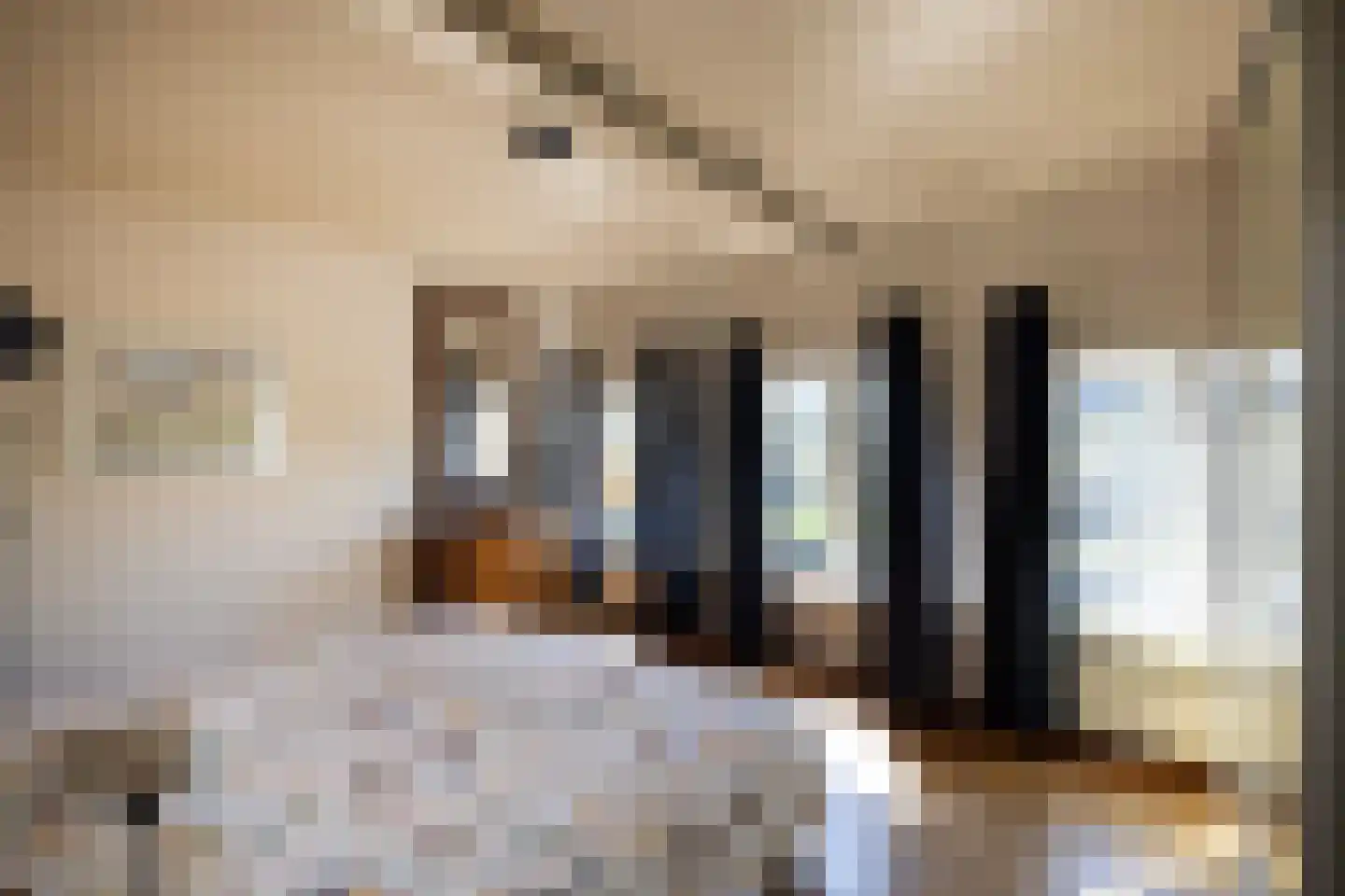 Thorbeckegracht 34 Zwolle thumbnail 30