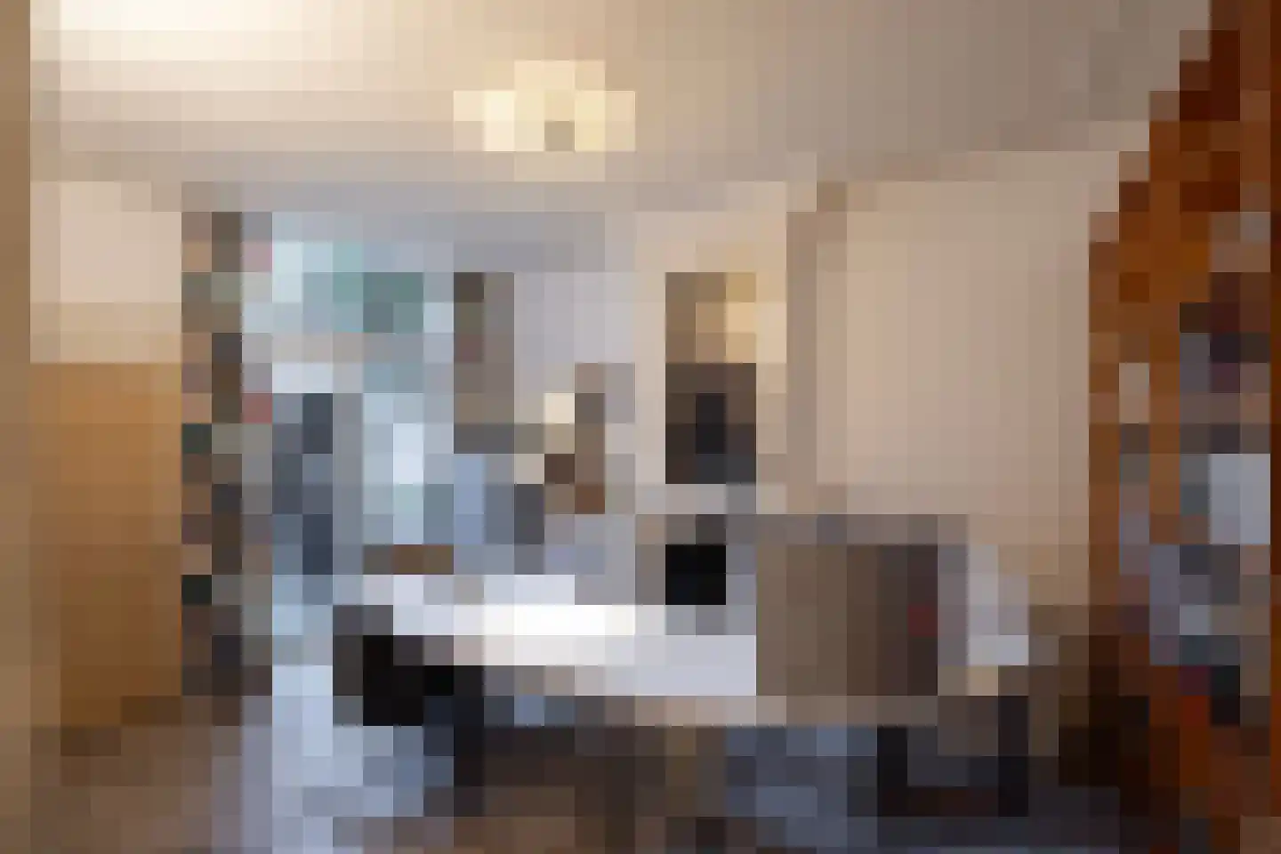 Thorbeckegracht 34 Zwolle thumbnail 36