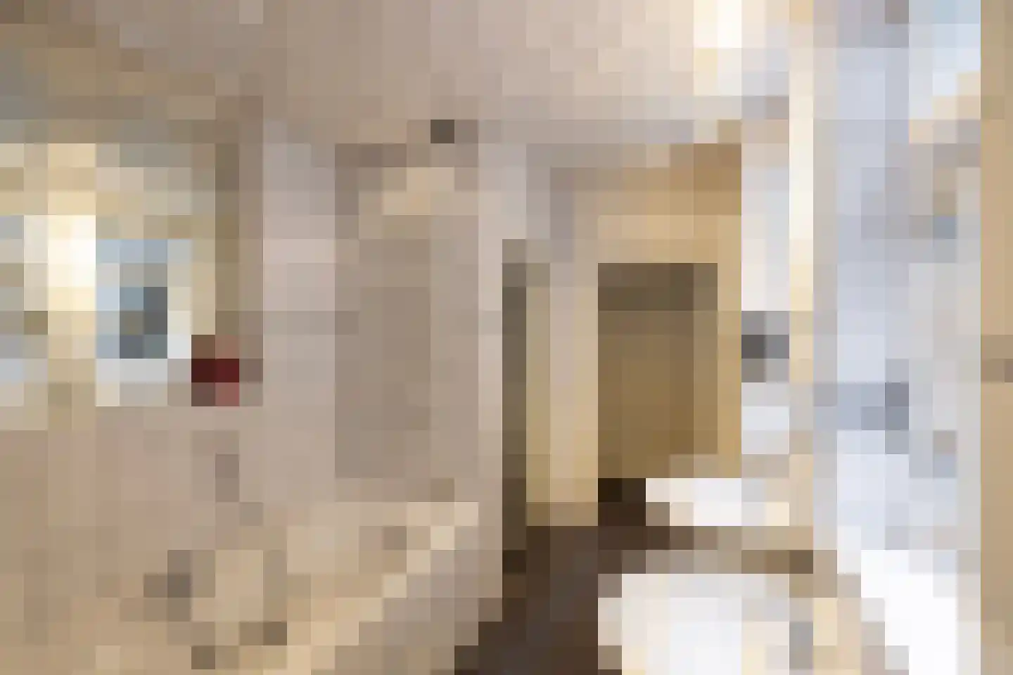 Thorbeckegracht 34 Zwolle thumbnail 39