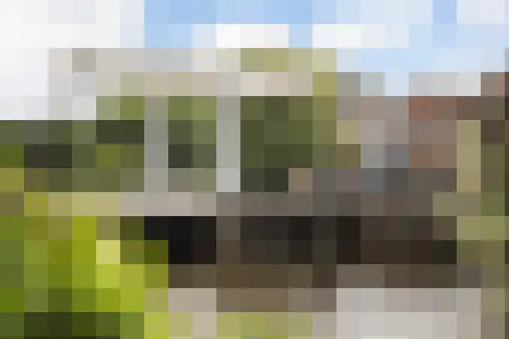 Thorbeckegracht 5 B Zwolle thumbnail 27