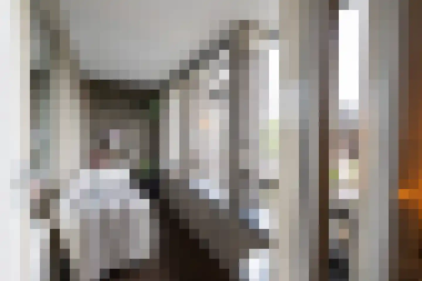Thorbeckegracht 5 H Zwolle thumbnail 10