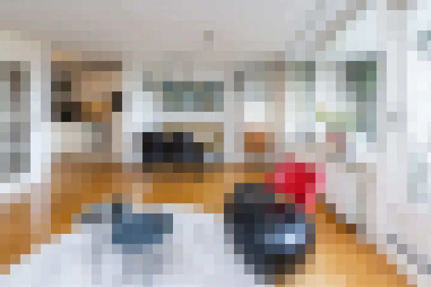 Thorbeckegracht 5 H Zwolle thumbnail 5