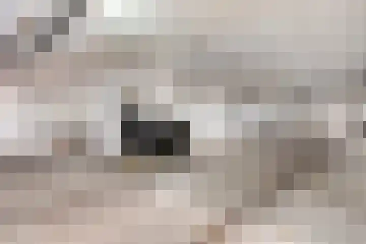 Thorbeckegracht 6 B Zwolle thumbnail 30