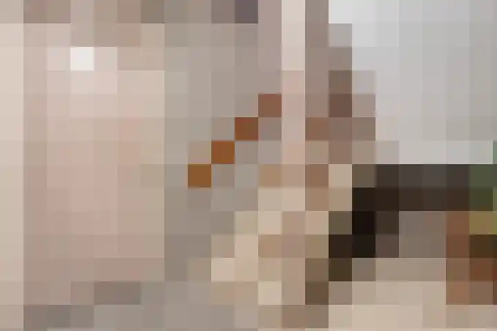 Thorbeckegracht 6 B Zwolle thumbnail 9