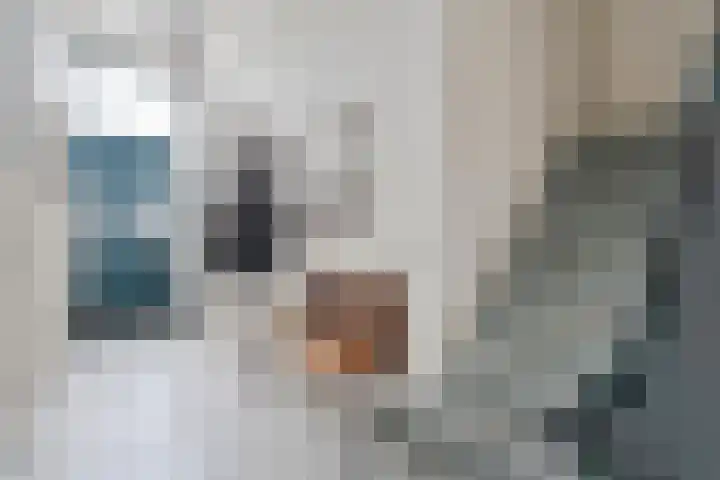 Thorbeckegracht 75 Zwolle thumbnail 4