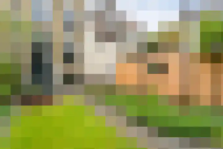 Thorbeckegracht 75 Zwolle thumbnail 42