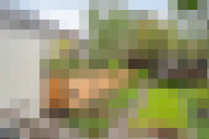 Thorbeckegracht 75 Zwolle thumbnail 43