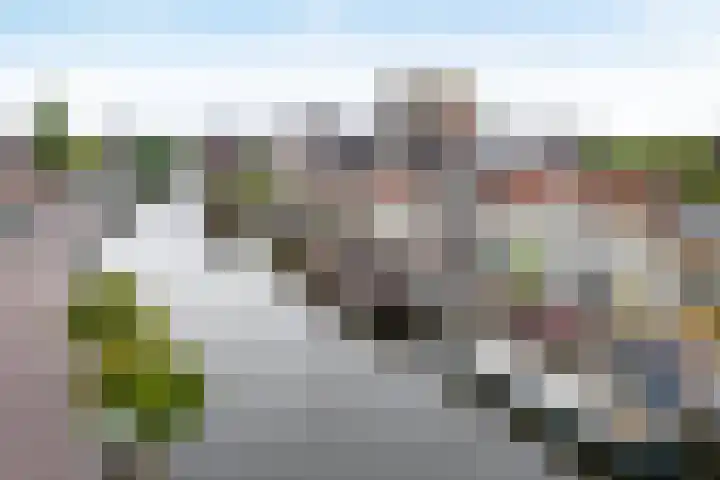 Thorbeckegracht 75 Zwolle thumbnail 55